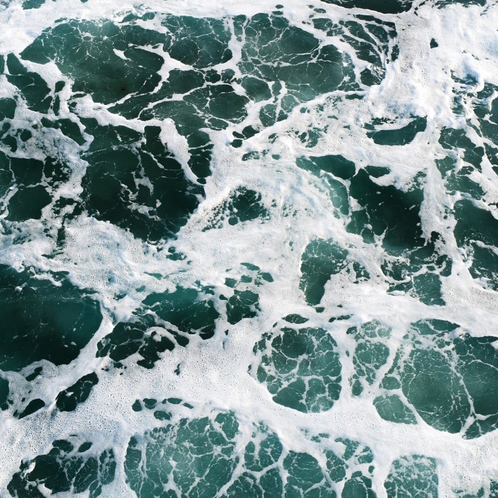 Meet your Posher, Amelia